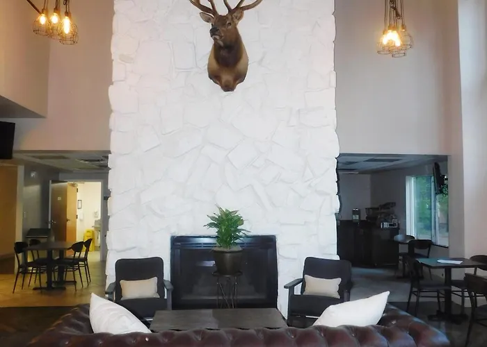 Hotel Greentree &